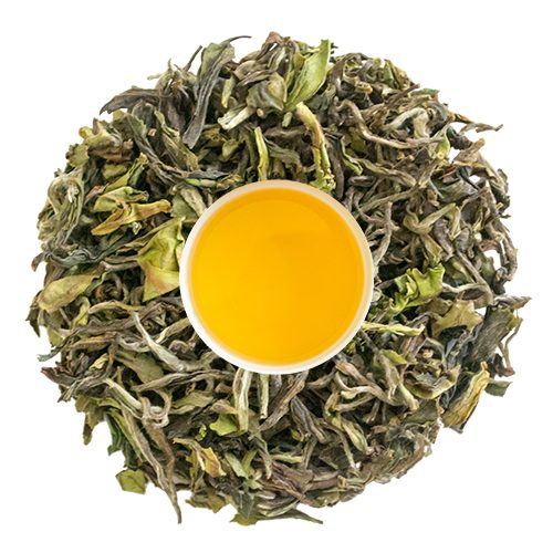 Maharani-of-Darjeeling-cup-dry